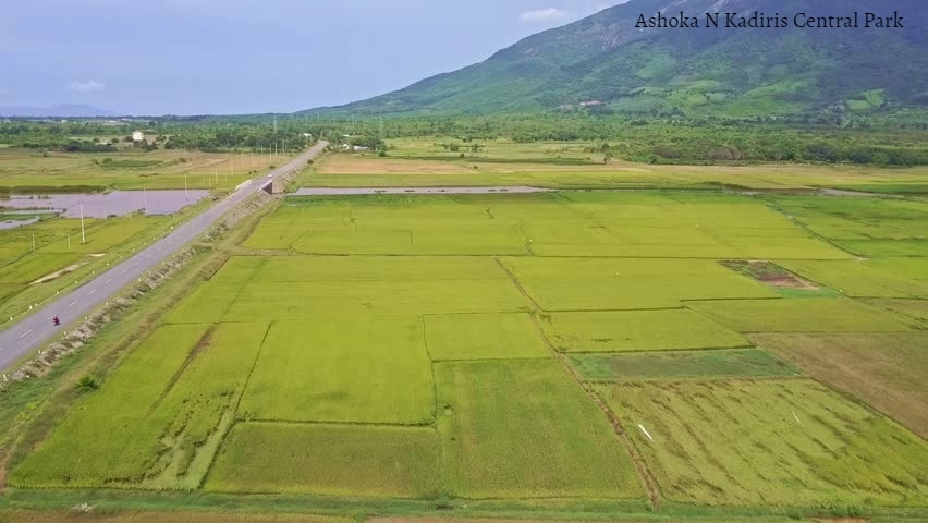 Floor plan for Ashoka N Kadiris Central Park
